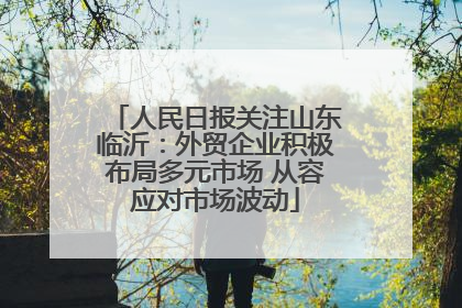 人民日报关注山东临沂：外贸企业积极布局多元市场 从容应对市场波动