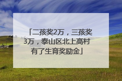 二孩奖2万，三孩奖3万，泰山区北上高村有了生育奖励金