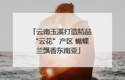 云南玉溪打造精品“云花”产区 蝴蝶兰飘香东南亚