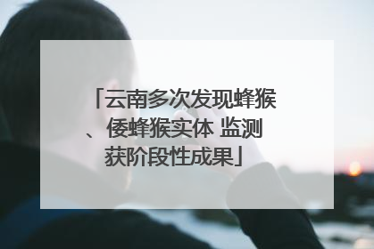 云南多次发现蜂猴、倭蜂猴实体 监测获阶段性成果