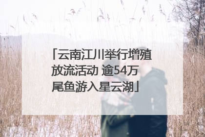 云南江川举行增殖放流活动 逾54万尾鱼游入星云湖