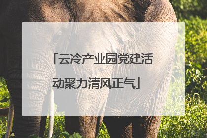 云冷产业园党建活动聚力清风正气