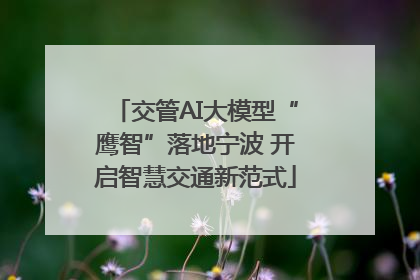 交管AI大模型“鹰智”落地宁波 开启智慧交通新范式