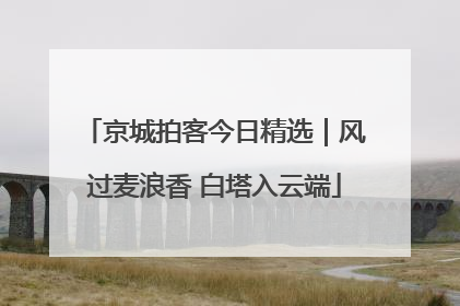 京城拍客今日精选｜风过麦浪香 白塔入云端