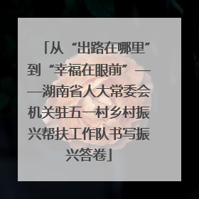 从“出路在哪里”到“幸福在眼前”——湖南省人大常委会机关驻五一村乡村振兴帮扶工作队书写振兴答卷