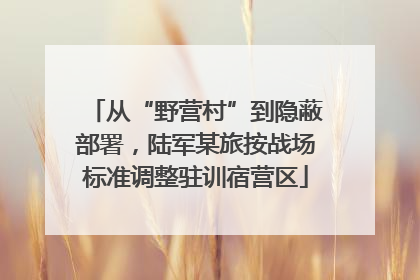 从“野营村”到隐蔽部署，陆军某旅按战场标准调整驻训宿营区