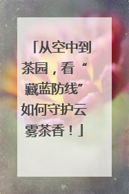 从空中到茶园，看“藏蓝防线”如何守护云雾茶香！