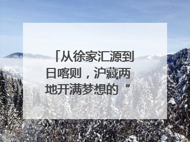 从徐家汇源到日喀则，沪藏两地开满梦想的“格桑花”！