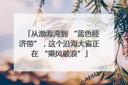 从渤海湾到 “蓝色经济带”，这个沿海大省正在 “乘风破浪”