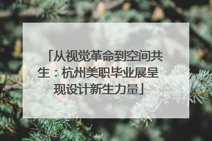 从视觉革命到空间共生：杭州美职毕业展呈现设计新生力量