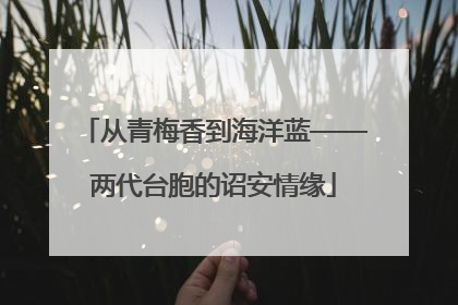 从青梅香到海洋蓝——两代台胞的诏安情缘