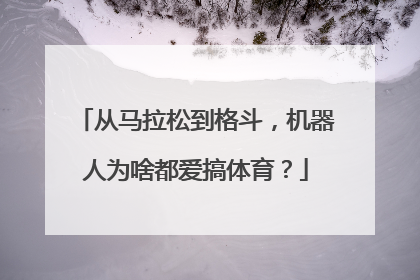 从马拉松到格斗，机器人为啥都爱搞体育？