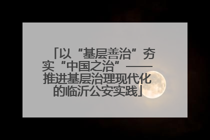 以“基层善治”夯实“中国之治”——推进基层治理现代化的临沂公安实践
