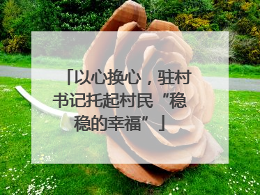 以心换心，驻村书记托起村民“稳稳的幸福”