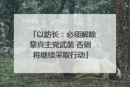 以防长：必须解除黎真主党武装 否则将继续采取行动
