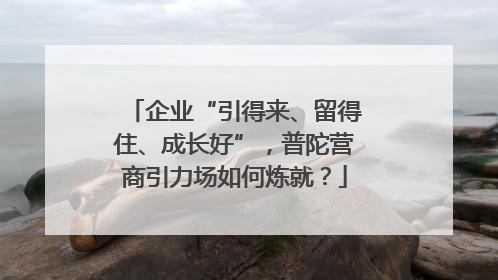 企业“引得来、留得住、成长好”，普陀营商引力场如何炼就？