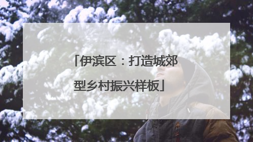 伊滨区：打造城郊型乡村振兴样板