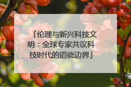 伦理与新兴科技文明：全球专家共议科技时代的道德边界