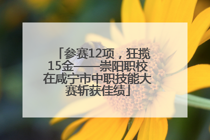 参赛12项，狂揽15金——崇阳职校在咸宁市中职技能大赛斩获佳绩
