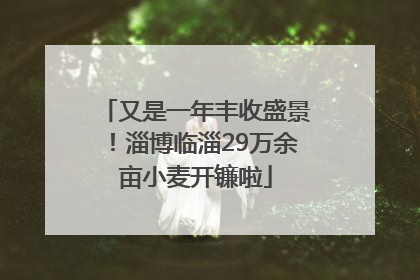 又是一年丰收盛景！淄博临淄29万余亩小麦开镰啦