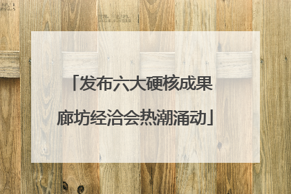 发布六大硬核成果 廊坊经洽会热潮涌动