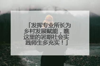发挥专业所长为乡村发展赋能，瞧这里的暑期社会实践师生多充实！