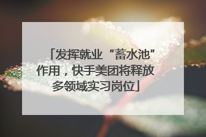 发挥就业“蓄水池”作用，快手美团将释放多领域实习岗位