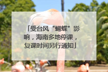 受台风“蝴蝶”影响，海南多地停课，复课时间另行通知