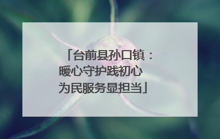 台前县孙口镇：暖心守护践初心 为民服务显担当