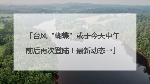 台风“蝴蝶”或于今天中午前后再次登陆！最新动态→