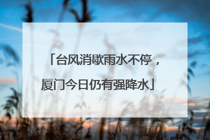 台风消歇雨水不停，厦门今日仍有强降水
