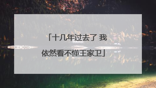 十几年过去了 我依然看不懂王家卫