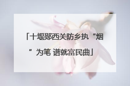 十堰郧西关防乡执“烟”为笔 谱就富民曲