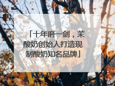 十年磨一剑，茉酸奶创始人打造现制酸奶知名品牌