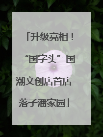 升级亮相！“国字头”国潮文创店首店落子潘家园