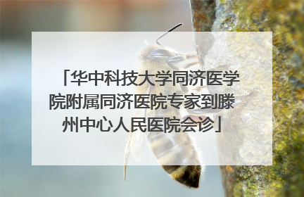 华中科技大学同济医学院附属同济医院专家到滕州中心人民医院会诊