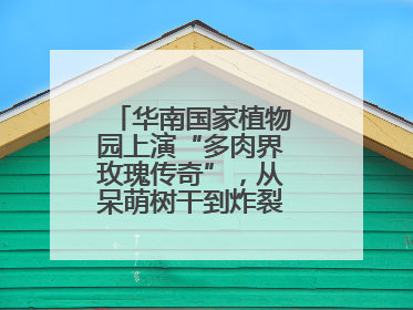 华南国家植物园上演“多肉界玫瑰传奇”，从呆萌树干到炸裂种子全是戏！