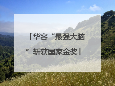 华容“最强大脑”斩获国家金奖