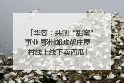 华容：共创“甜蜜”事业 鄂州邮政帮庄屋村线上线下卖西瓜
