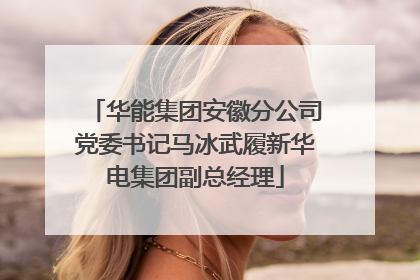 华能集团安徽分公司党委书记马冰武履新华电集团副总经理