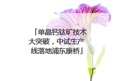 单晶钙钛矿技术大突破，中试生产线落地浦东康桥