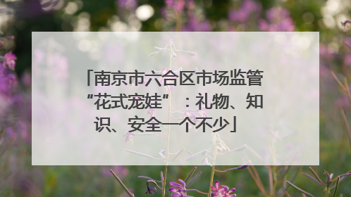 南京市六合区市场监管“花式宠娃”：礼物、知识、安全一个不少