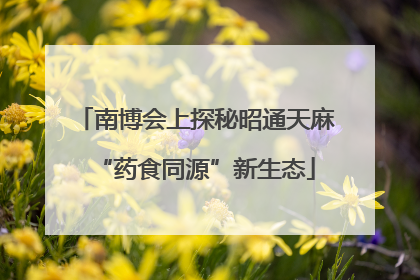 南博会上探秘昭通天麻“药食同源”新生态