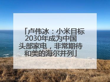 卢伟冰：小米目标2030年成为中国头部家电，非常期待和美的海尔并列