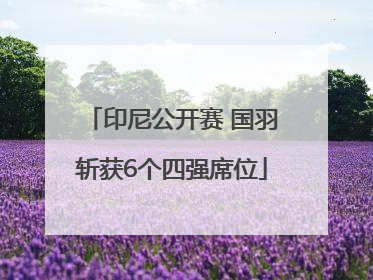 印尼公开赛 国羽斩获6个四强席位