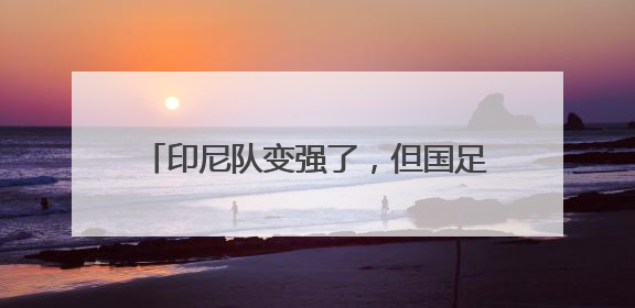 印尼队变强了，但国足世预赛有机会——专访北京国安荷兰籍外教杰森