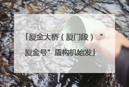 厦金大桥（厦门段）“厦金号”盾构机始发