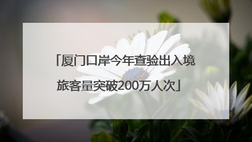 厦门口岸今年查验出入境旅客量突破200万人次