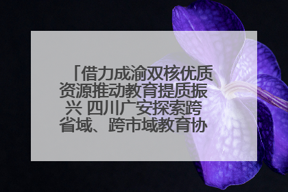 借力成渝双核优质资源推动教育提质振兴 四川广安探索跨省域、跨市域教育协同发展新路径