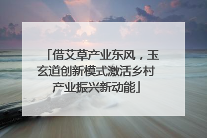 借艾草产业东风，玉玄道创新模式激活乡村产业振兴新动能